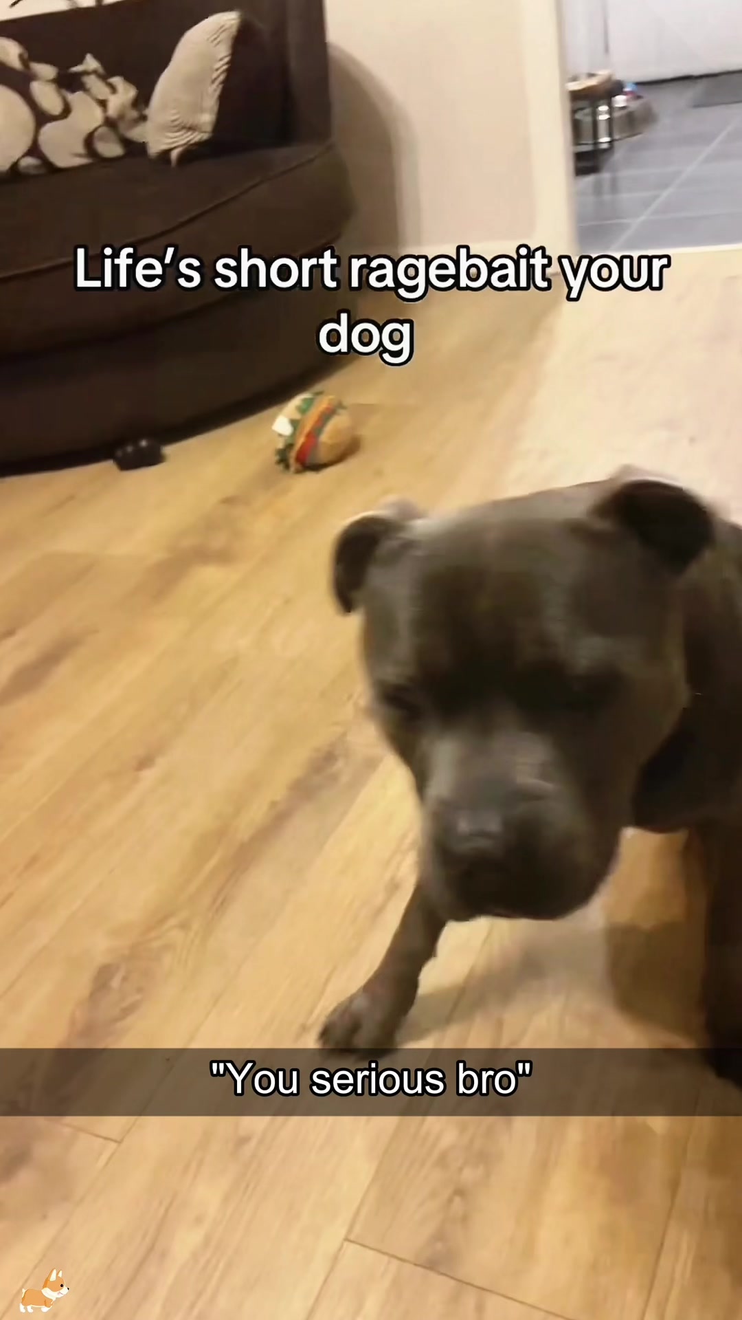 @SneakyFails