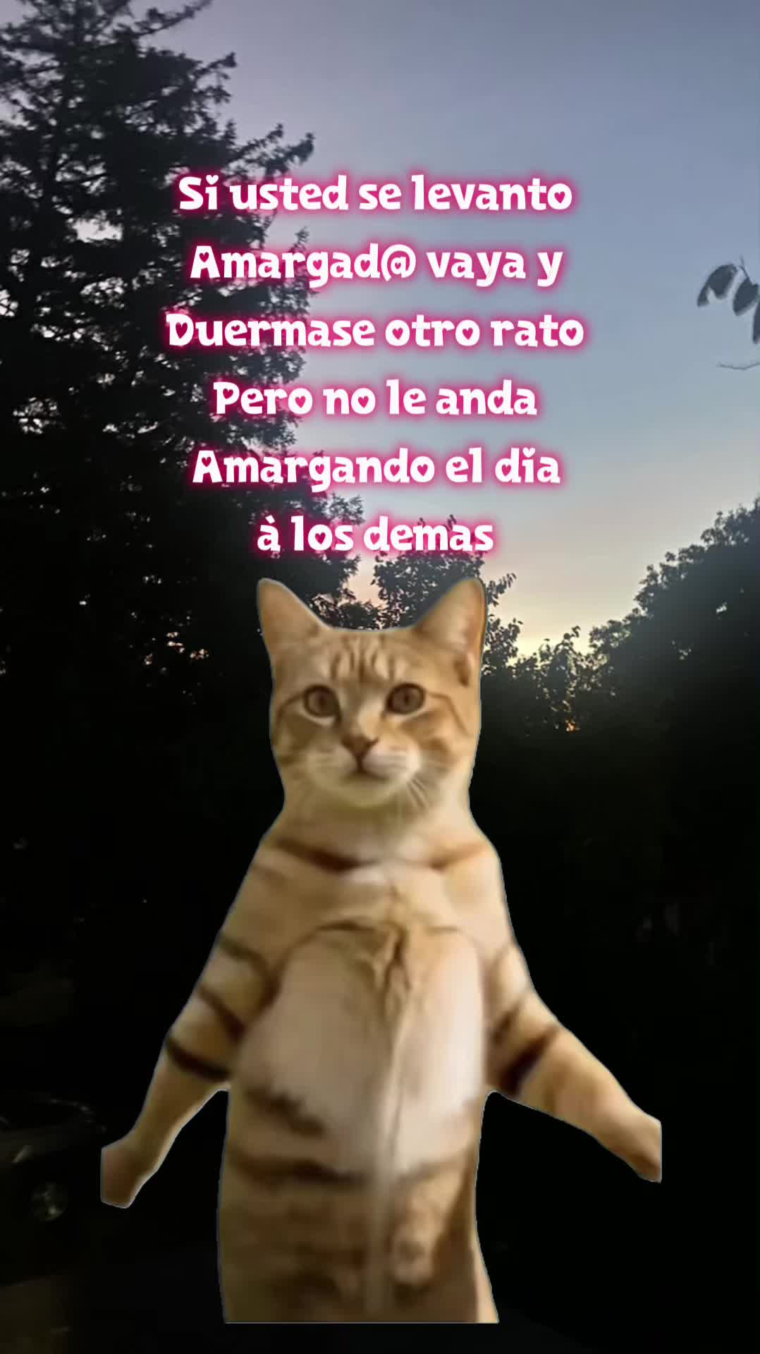 @💛Bonita_Girasol91