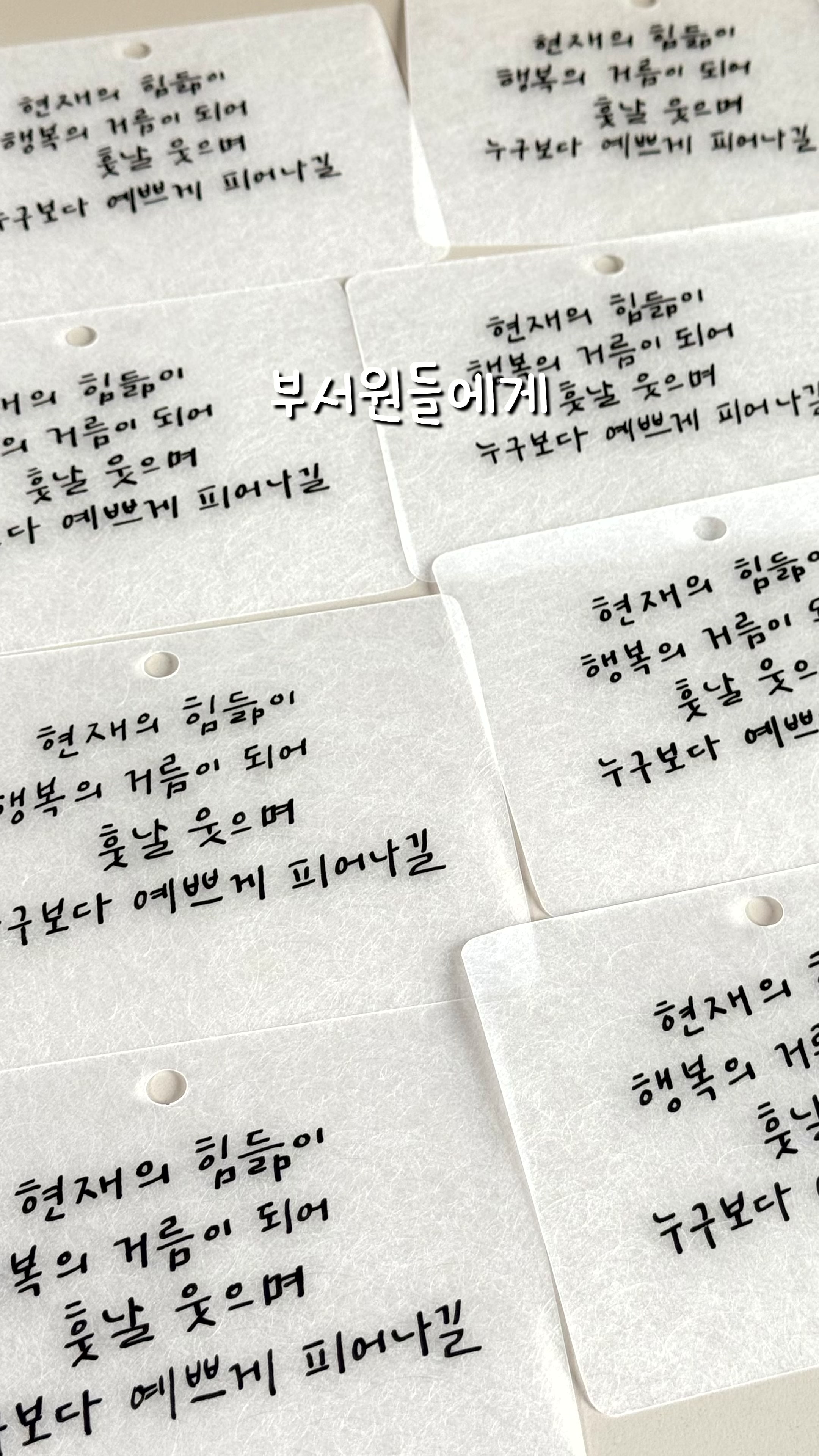 @이느낌 작가ㅣ이느낌 꽃과캘리