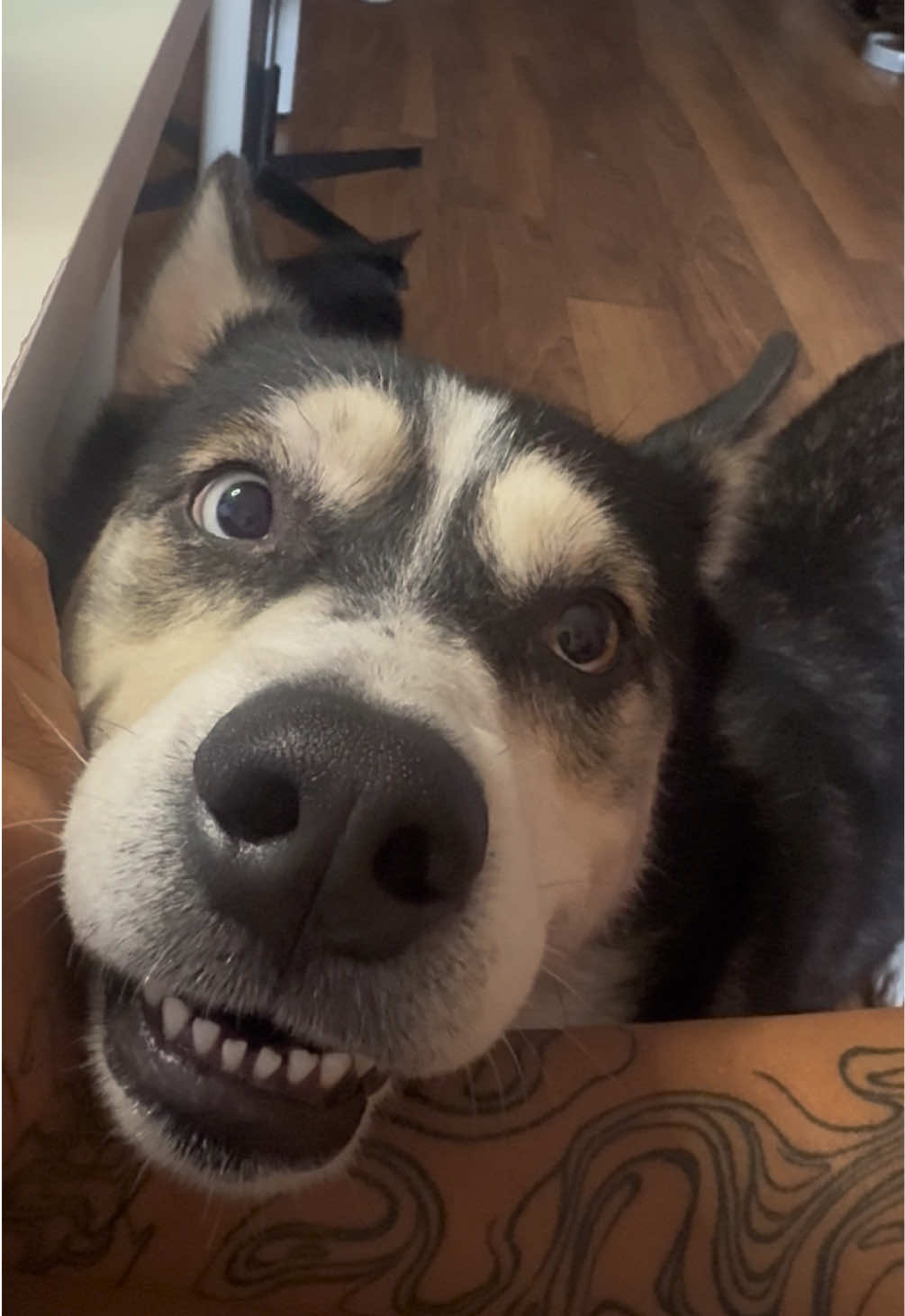 @gremworld