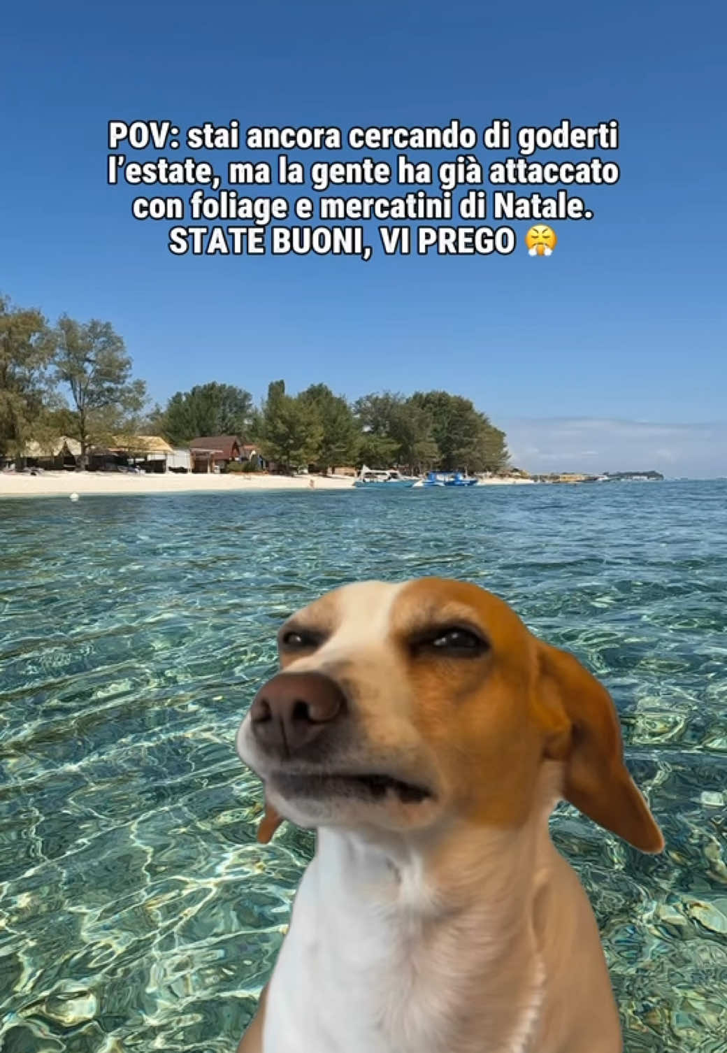 @Selena - Travel Blogger