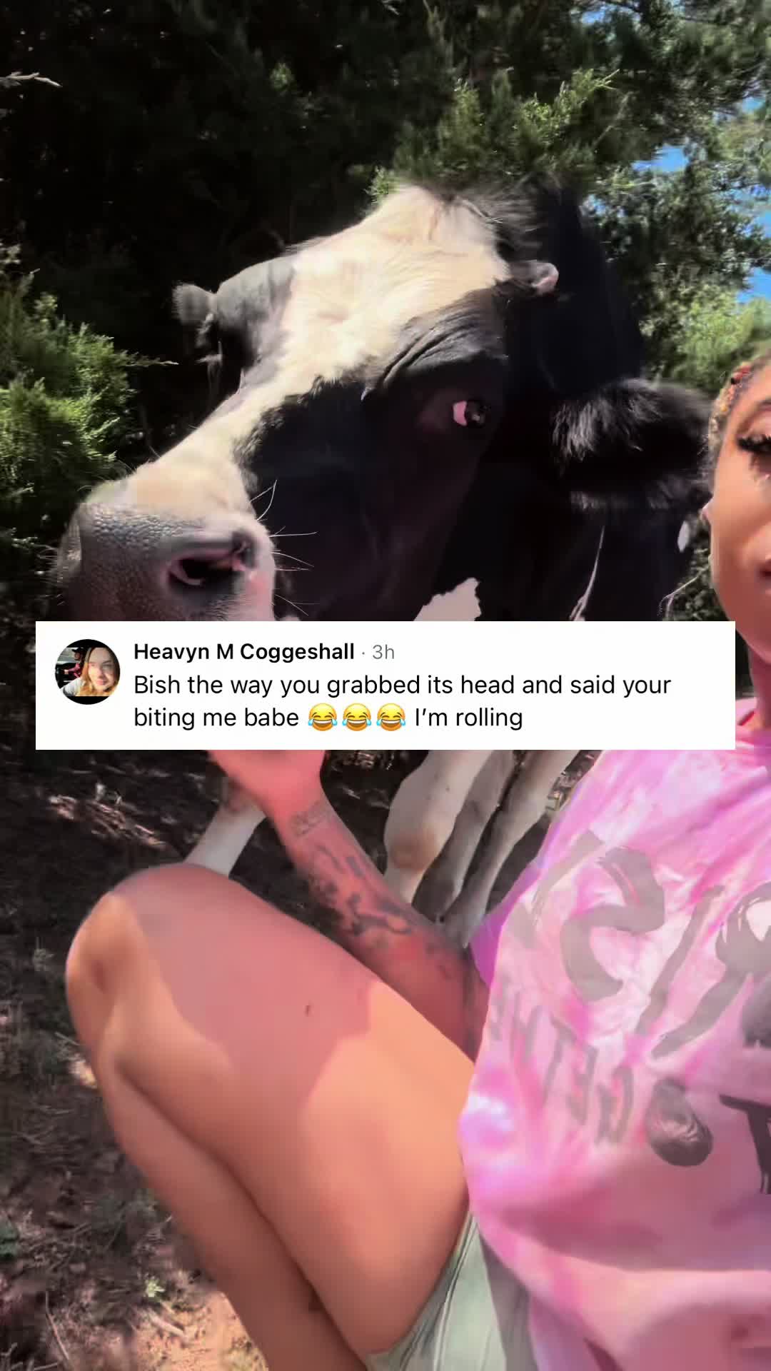 @Billy The Bad Ass Horse