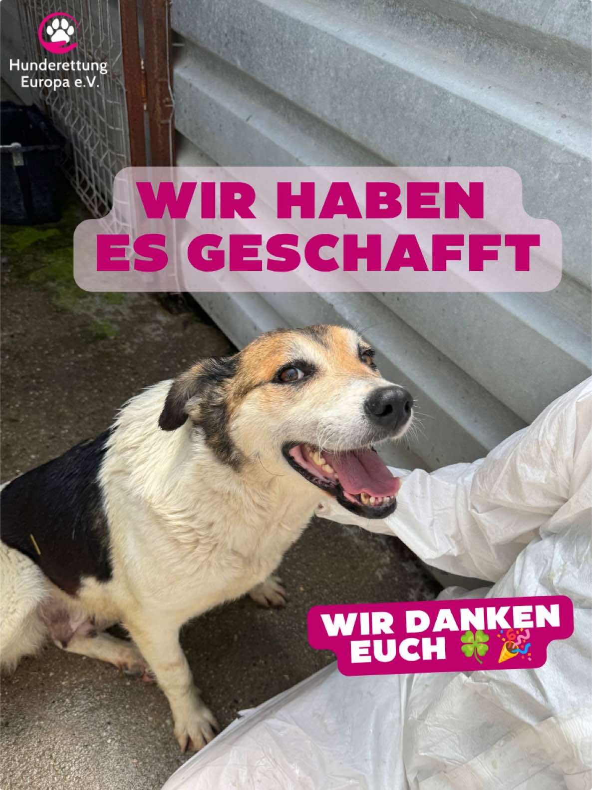 @Hunderettung Europa