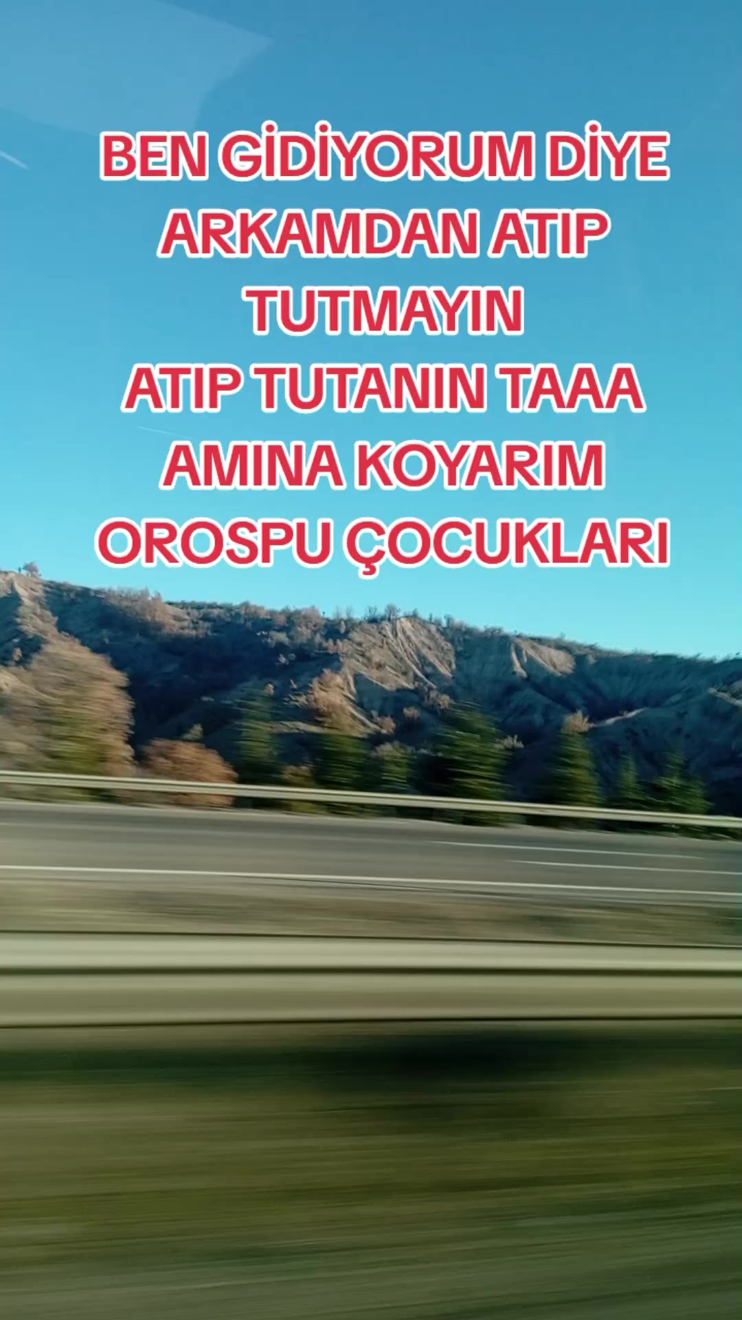 @🦁 SAKİN OLUN BEN GELDİM SLM🦁
