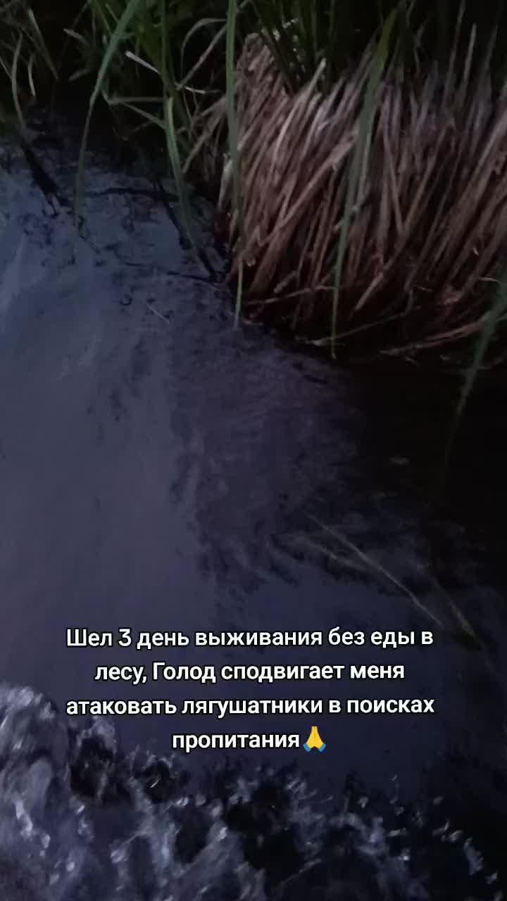@Лучезарный хрякᛉ