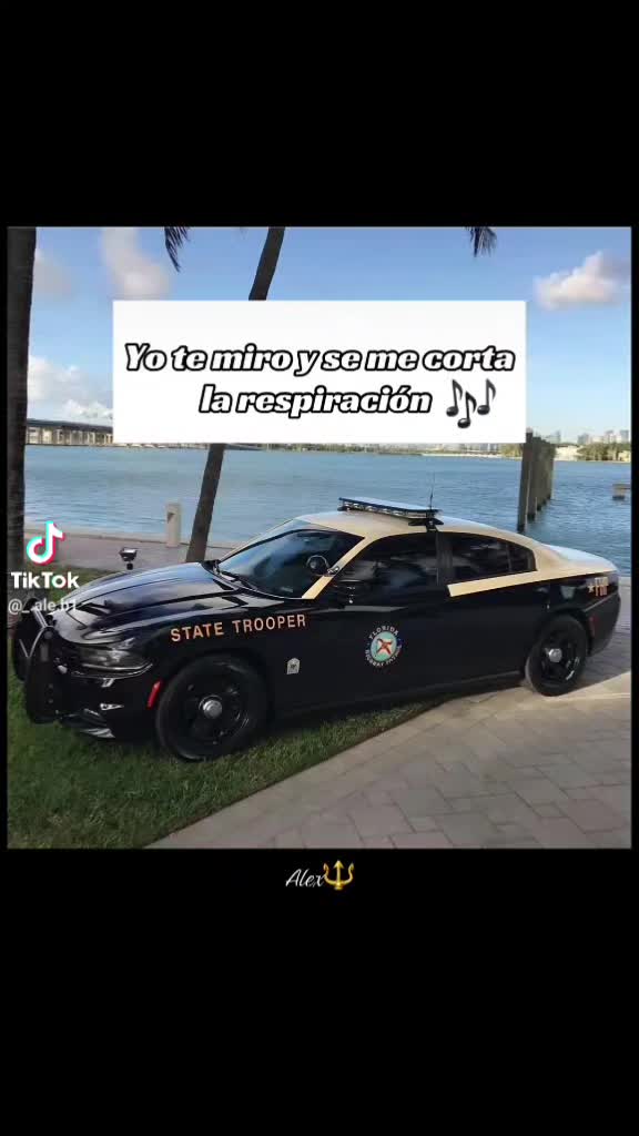 @alexisg1965