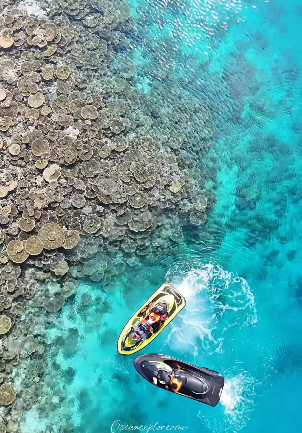 @Ocean|Explorer|Mv