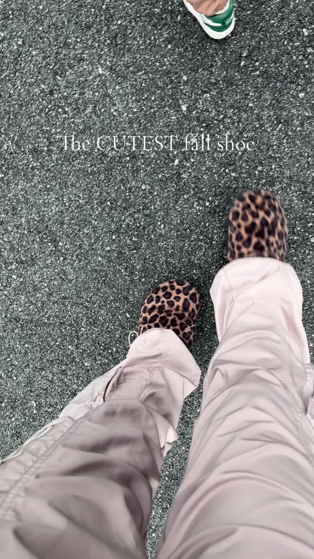 @cat🫧