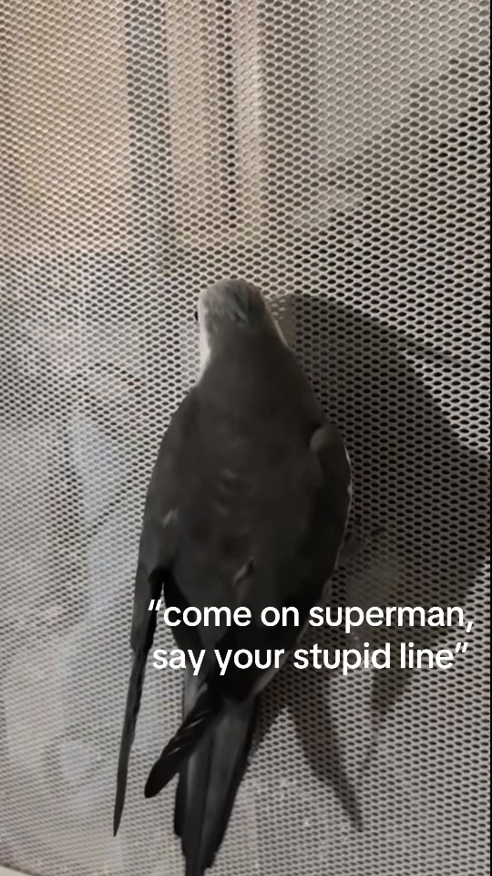 @not_yours🦦
