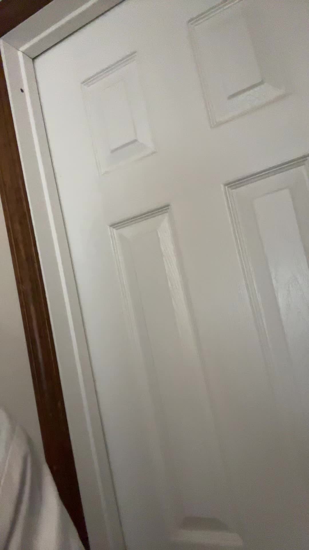 @🦉