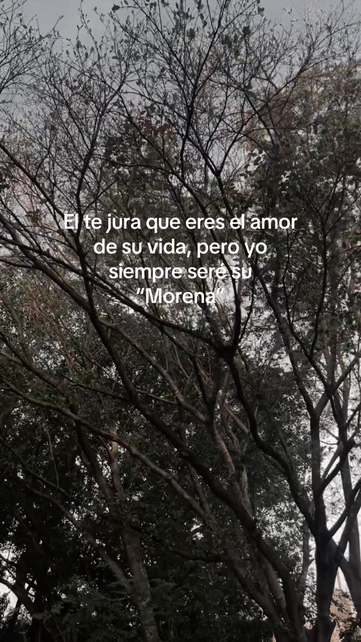 @luz albino 🌸💙