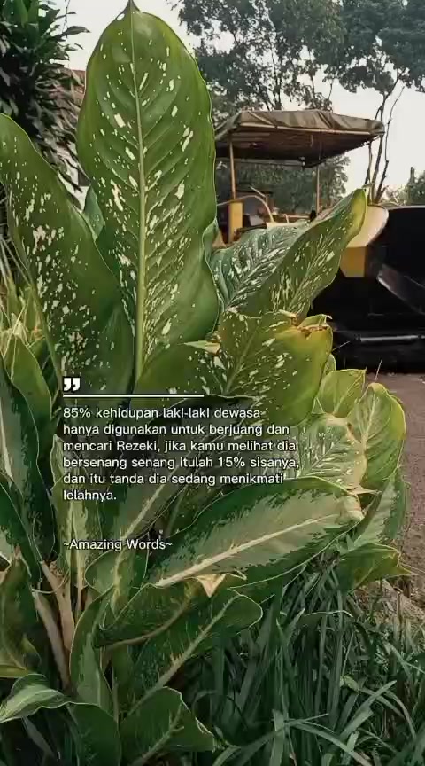 @Ichsan Solihudin