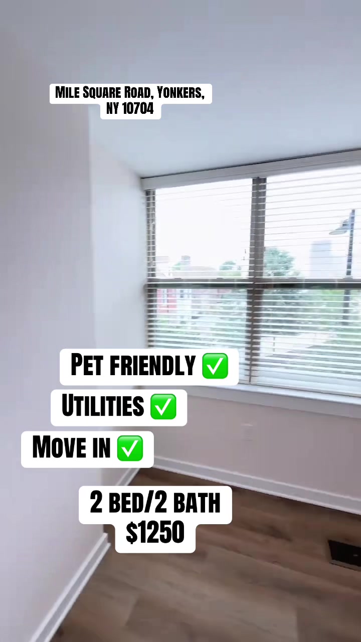 @Daily Rental Finds