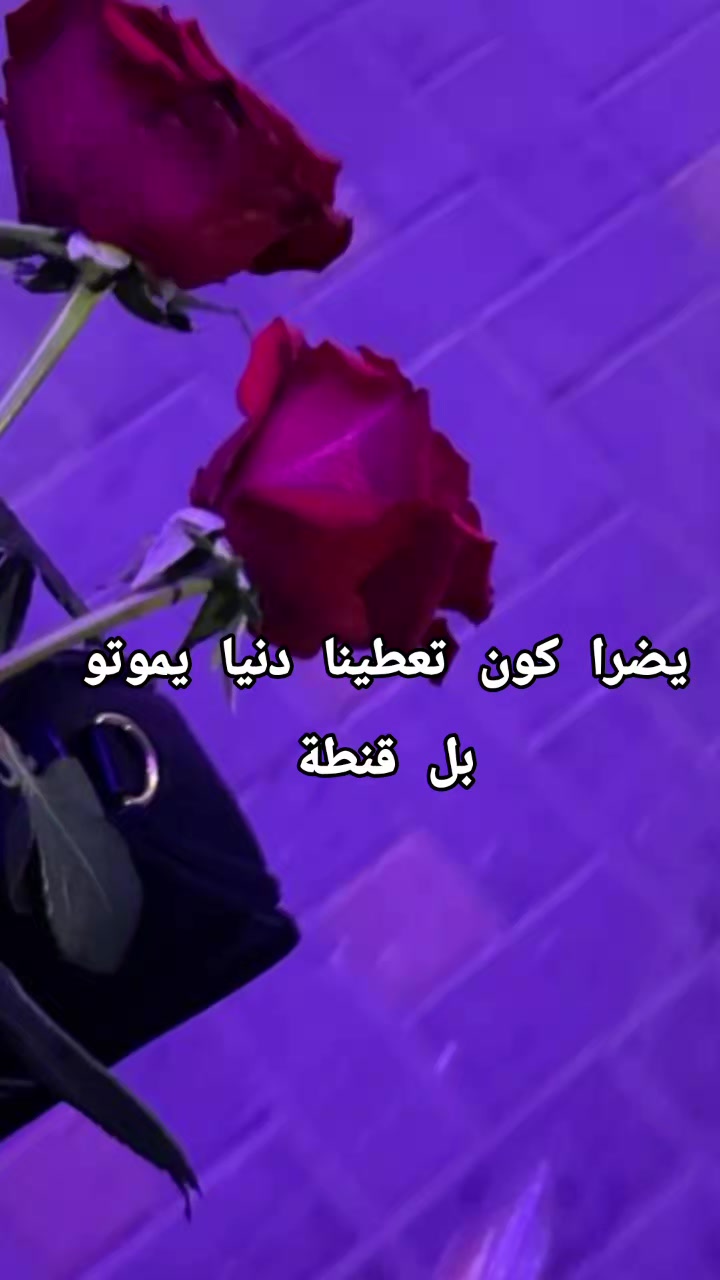 @مجنـᬼ🤪⑅⃝ـᬼونًة_ℂℋᎯ_ℳᎾЅU