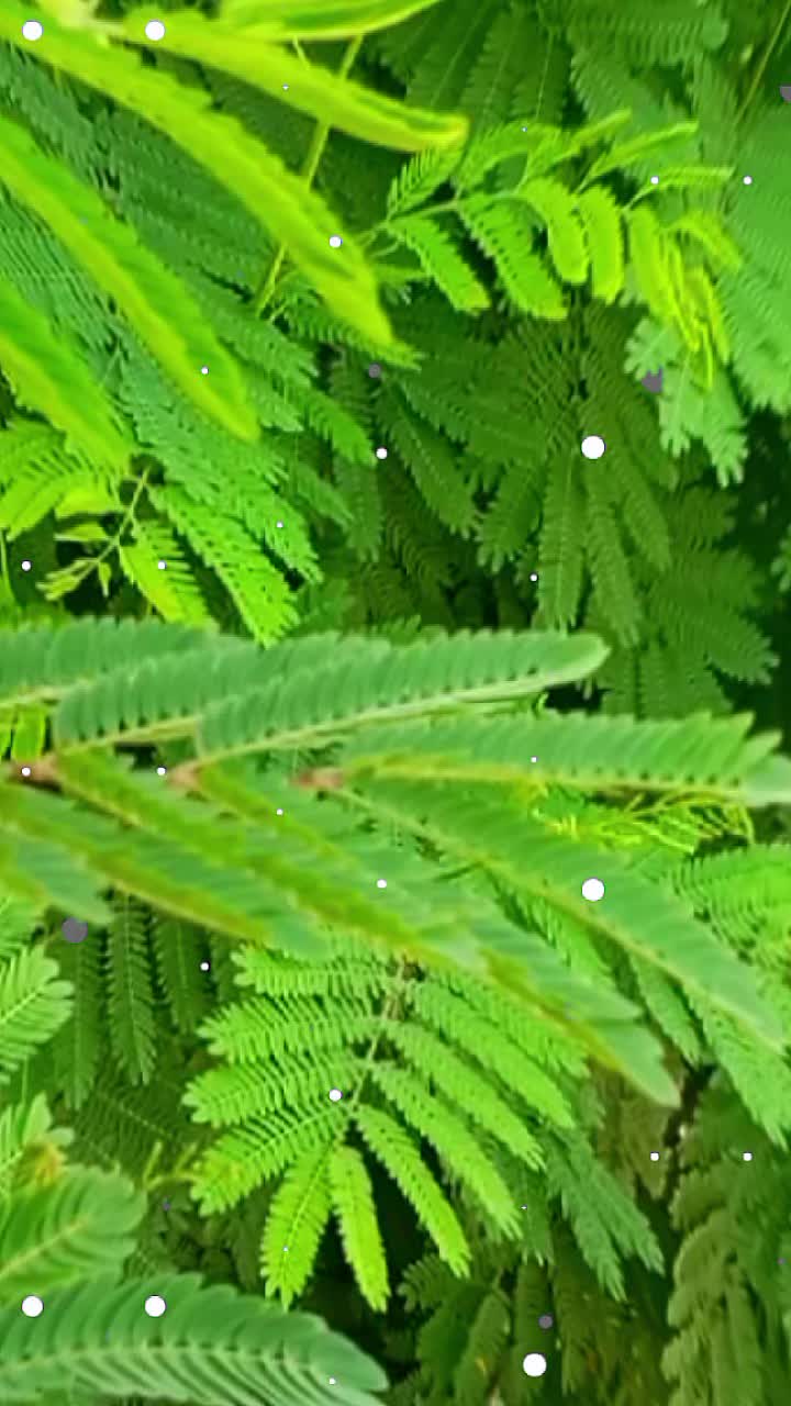 @SURESH. KHULAL99