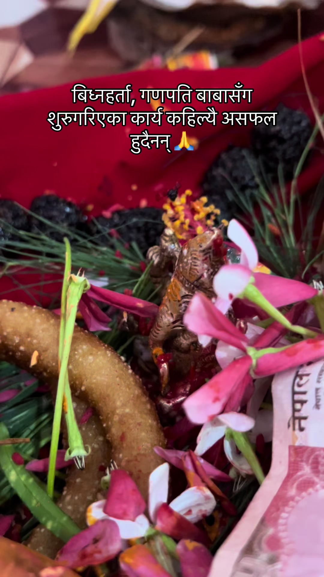 @Thakuree Sushan Vuze