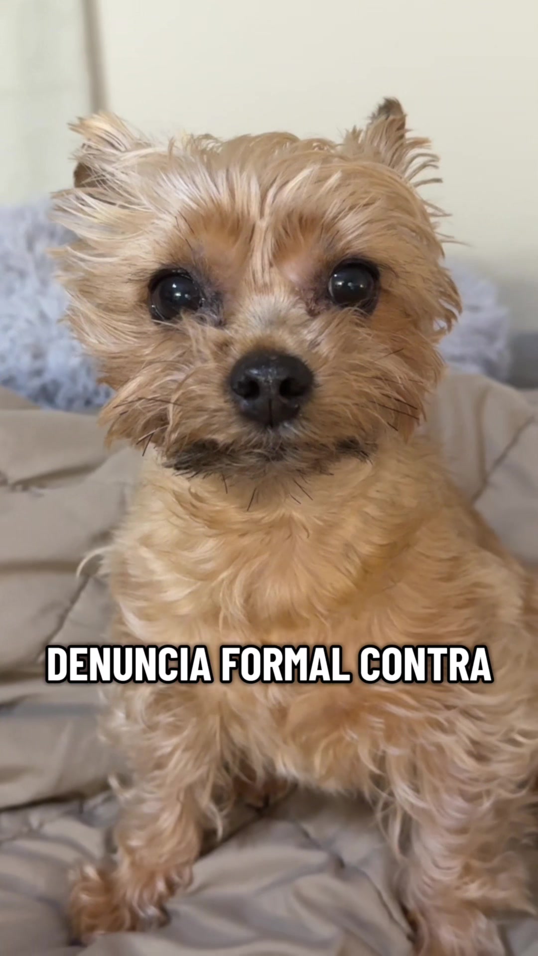 @mili_la_yorki