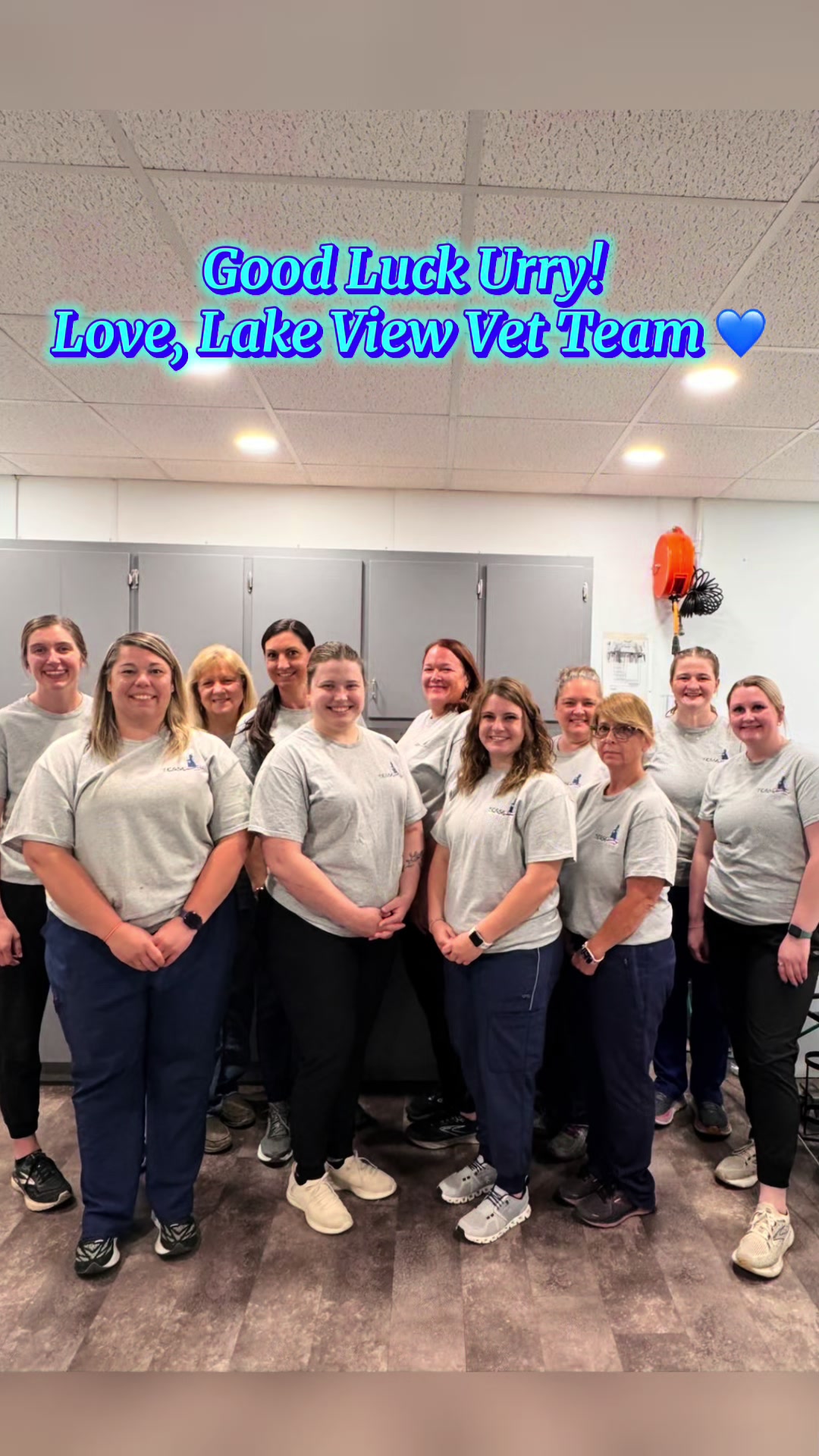 @Lake View Vet