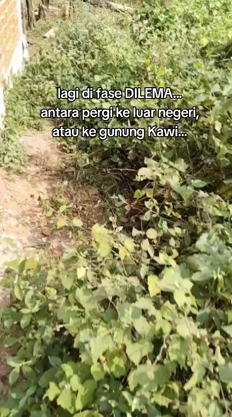 @Rohmatul A2
