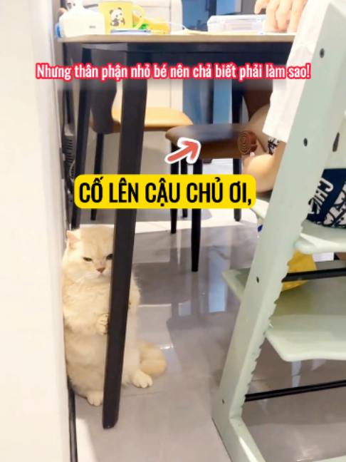 @Bin hài hước