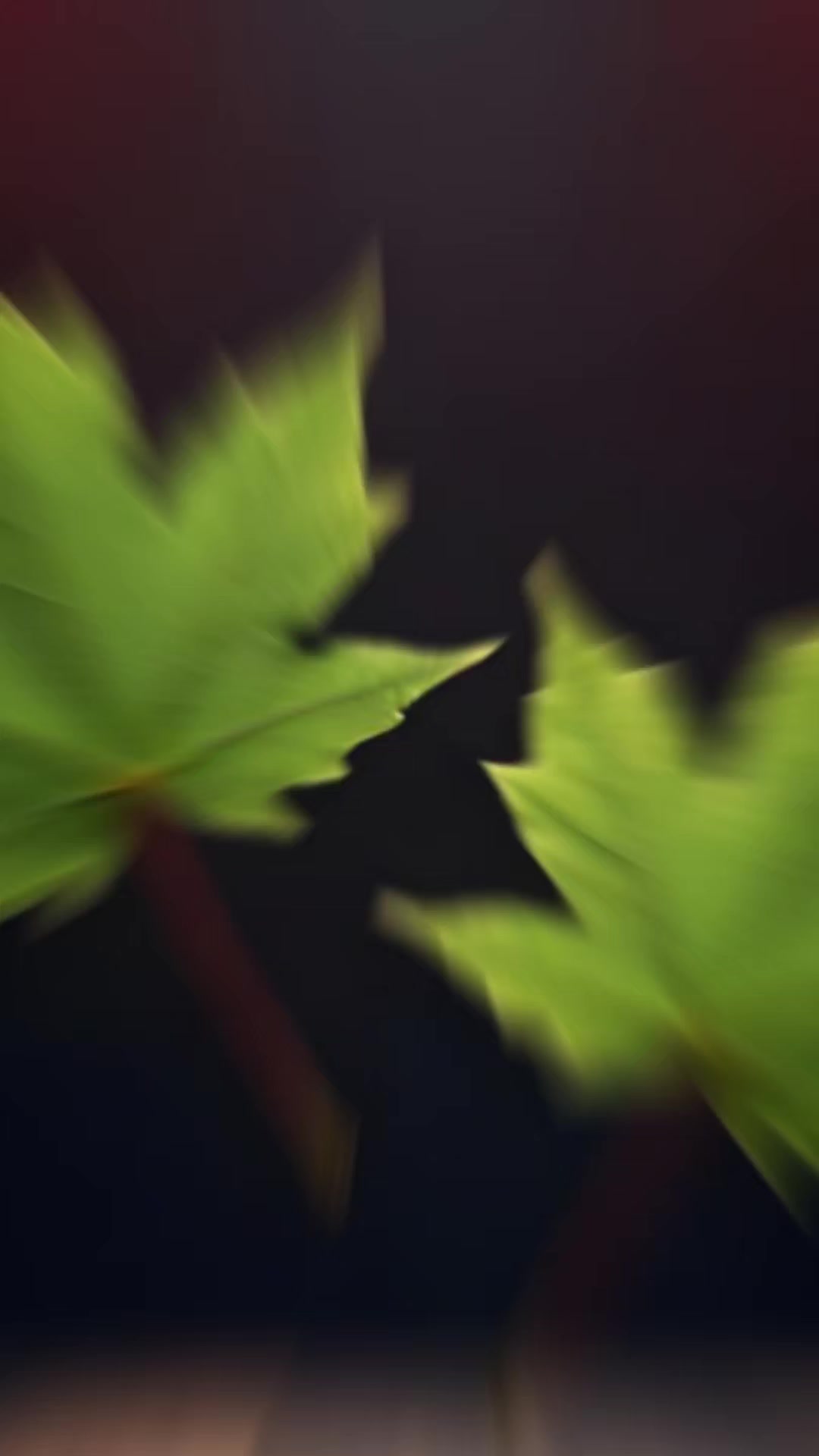 @🎧🕊️🅐︎🅛︎🅞︎🅝︎🅔︎🕊️🎧