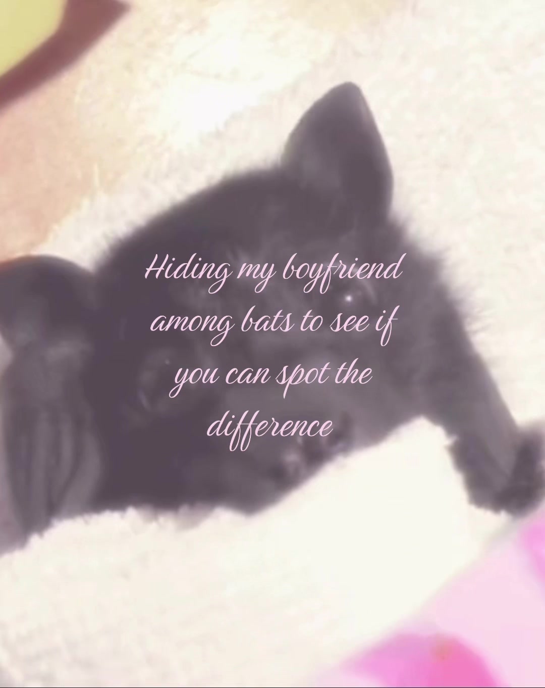 @🧁 natalie┆Eddie&rsquo;s only gf !