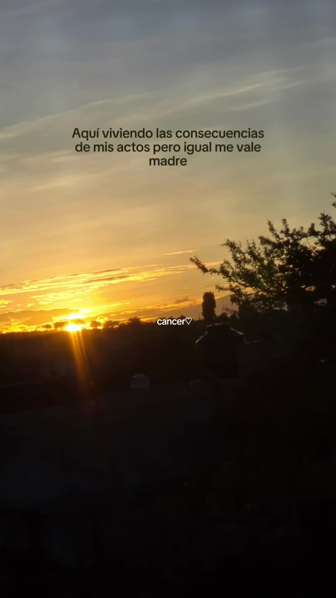@🦋♡Una chica desconocida♡🦋