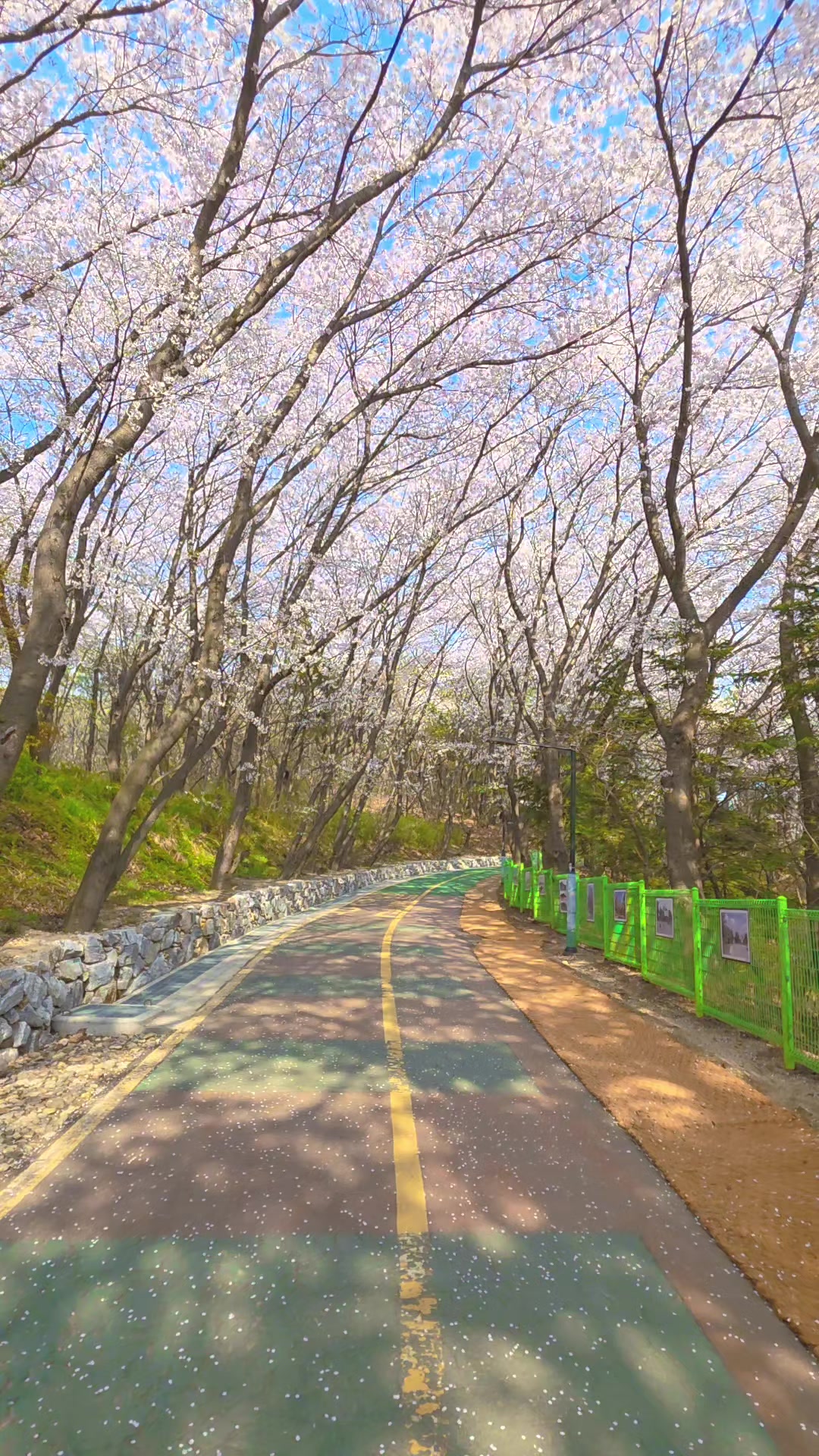 @kiho kim@
