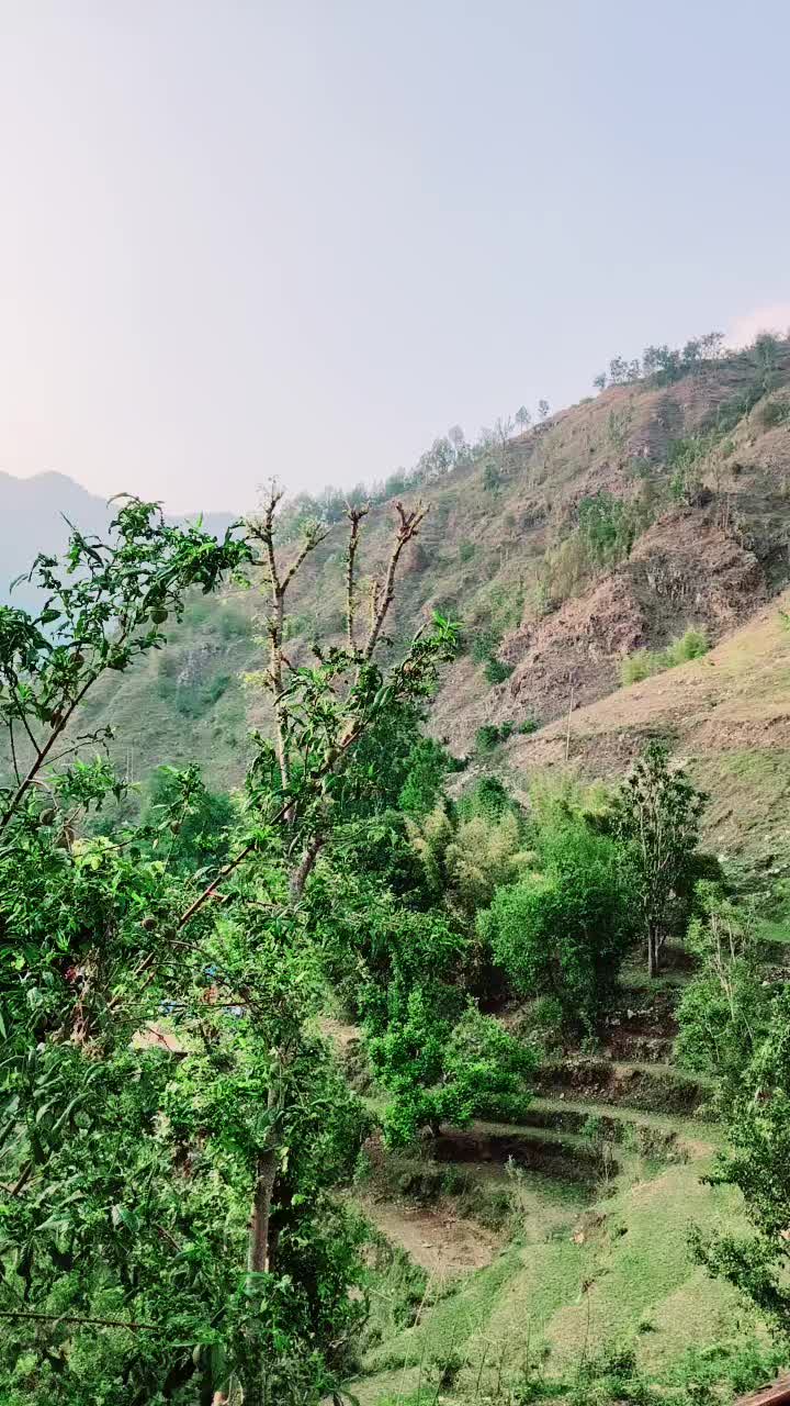 @pramodbaduwal