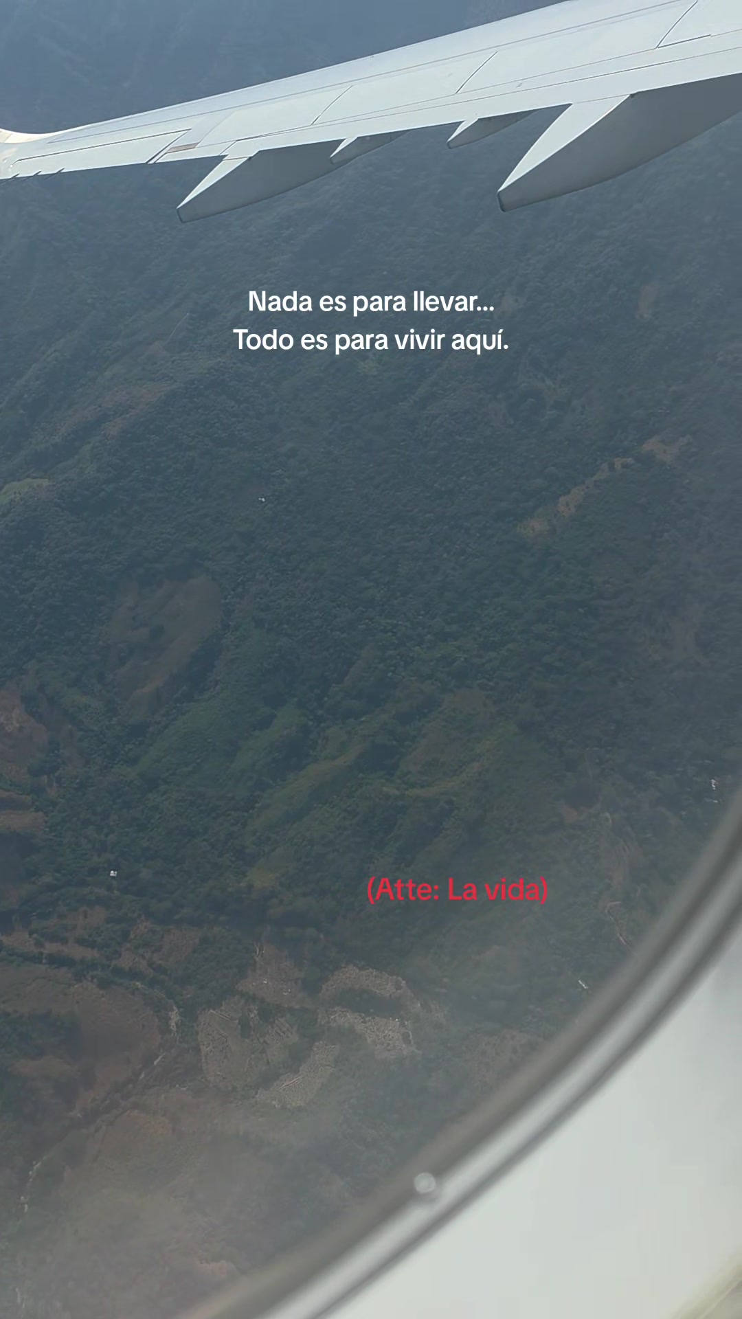 @Dani