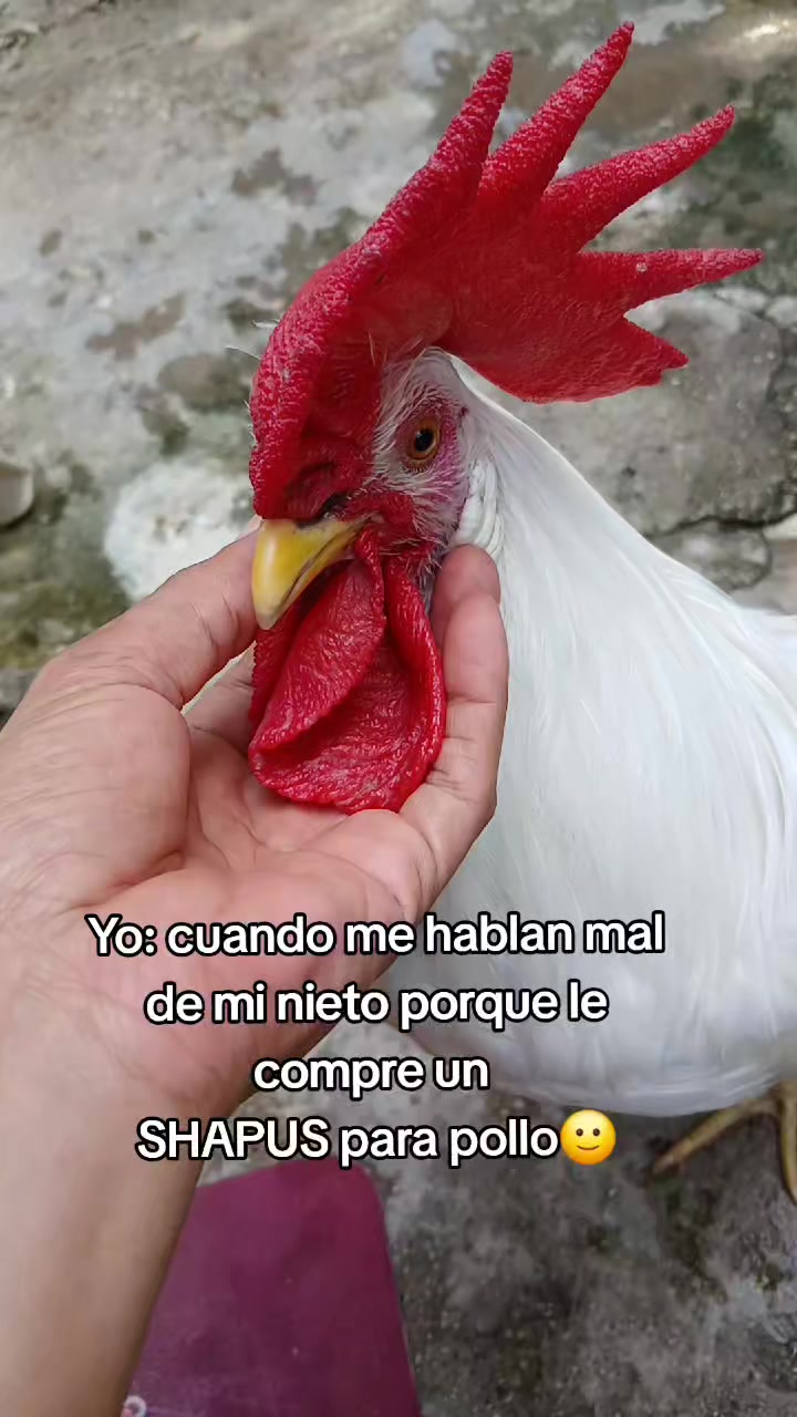 @betsyoficial