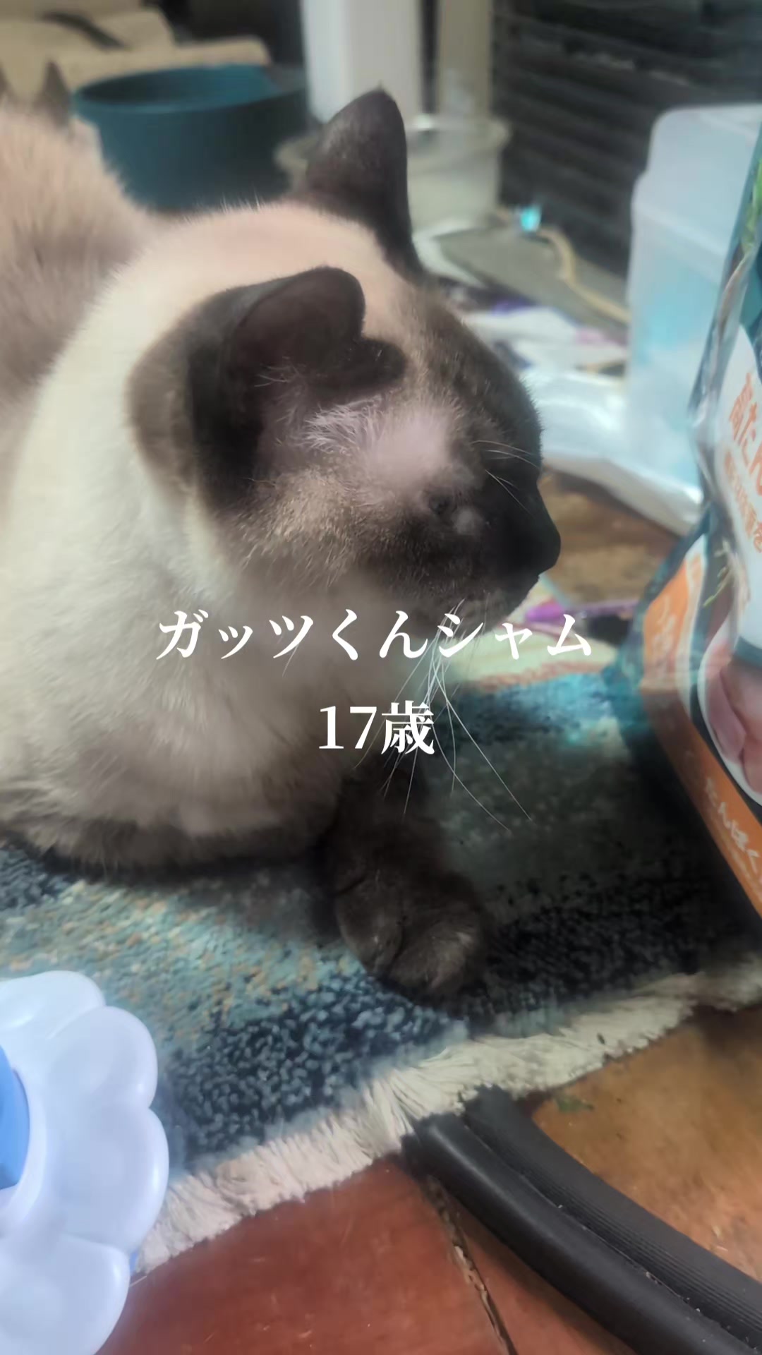 @睡眠プロデュース