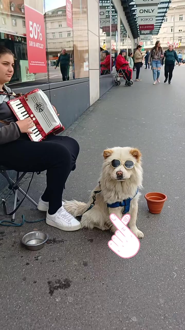@🌺A_nis🌺do_yar🌺