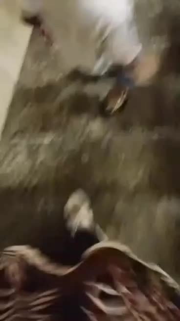 @🦅 M J 🦅
