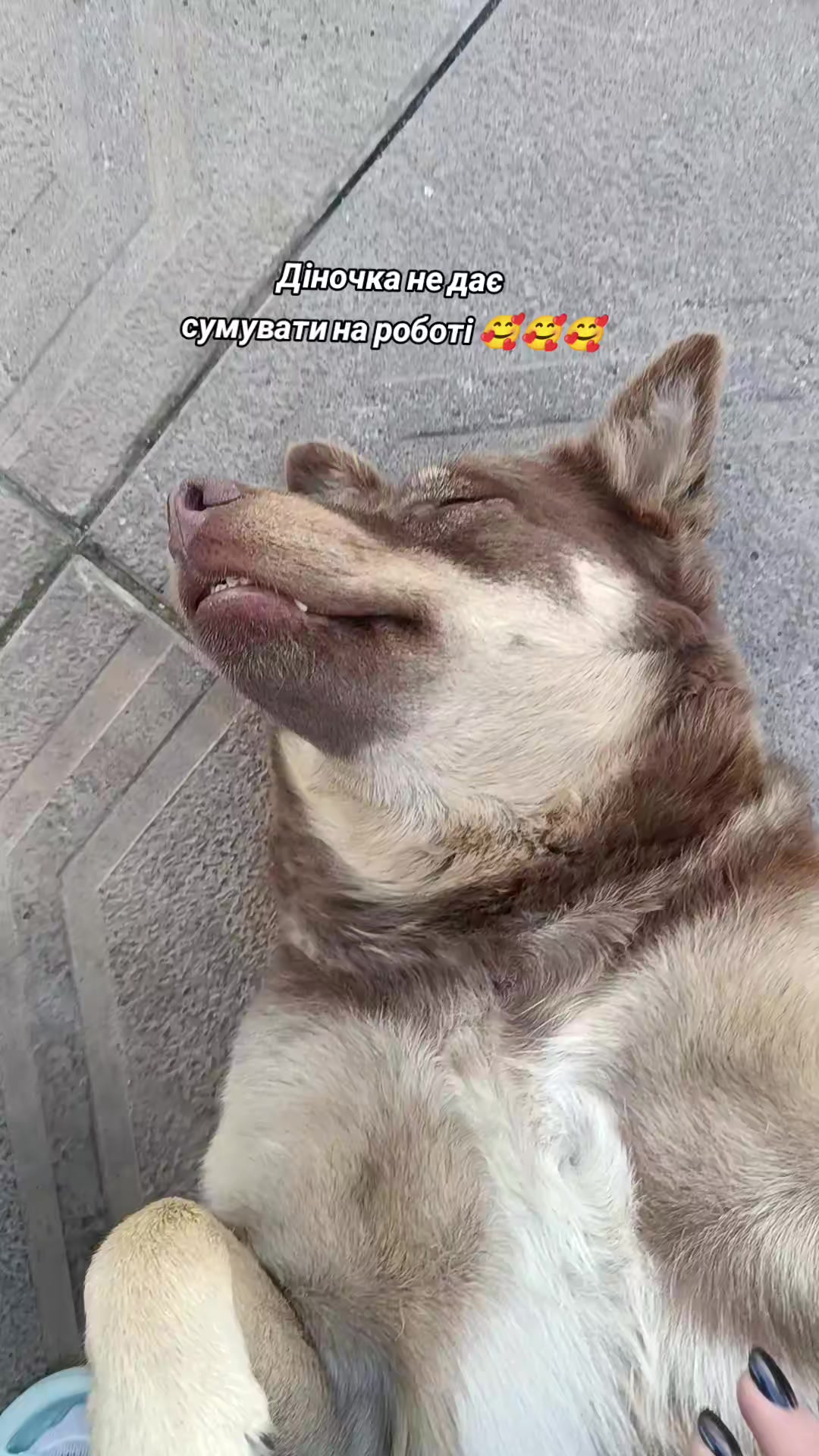 @Крис