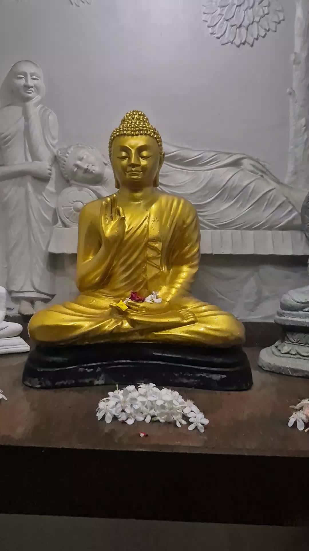 @Sandali Sathsarani