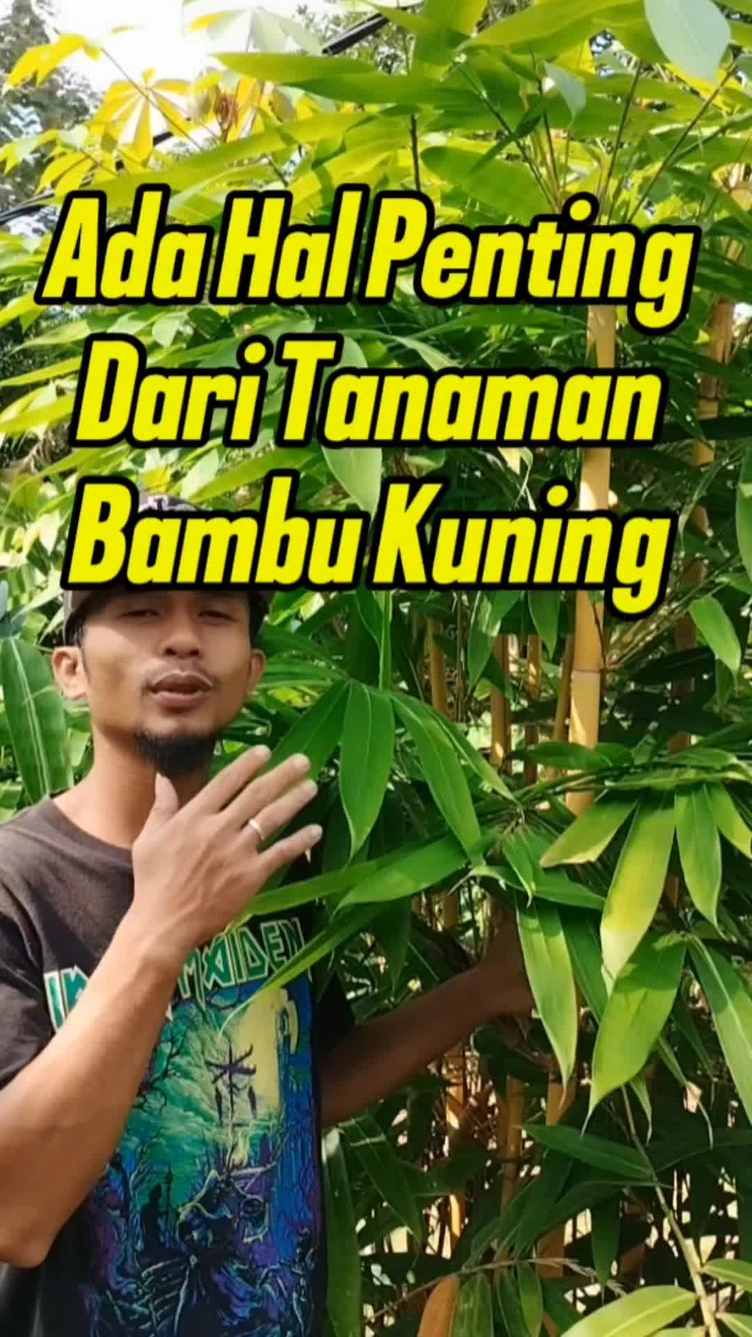 @Bukit Farming