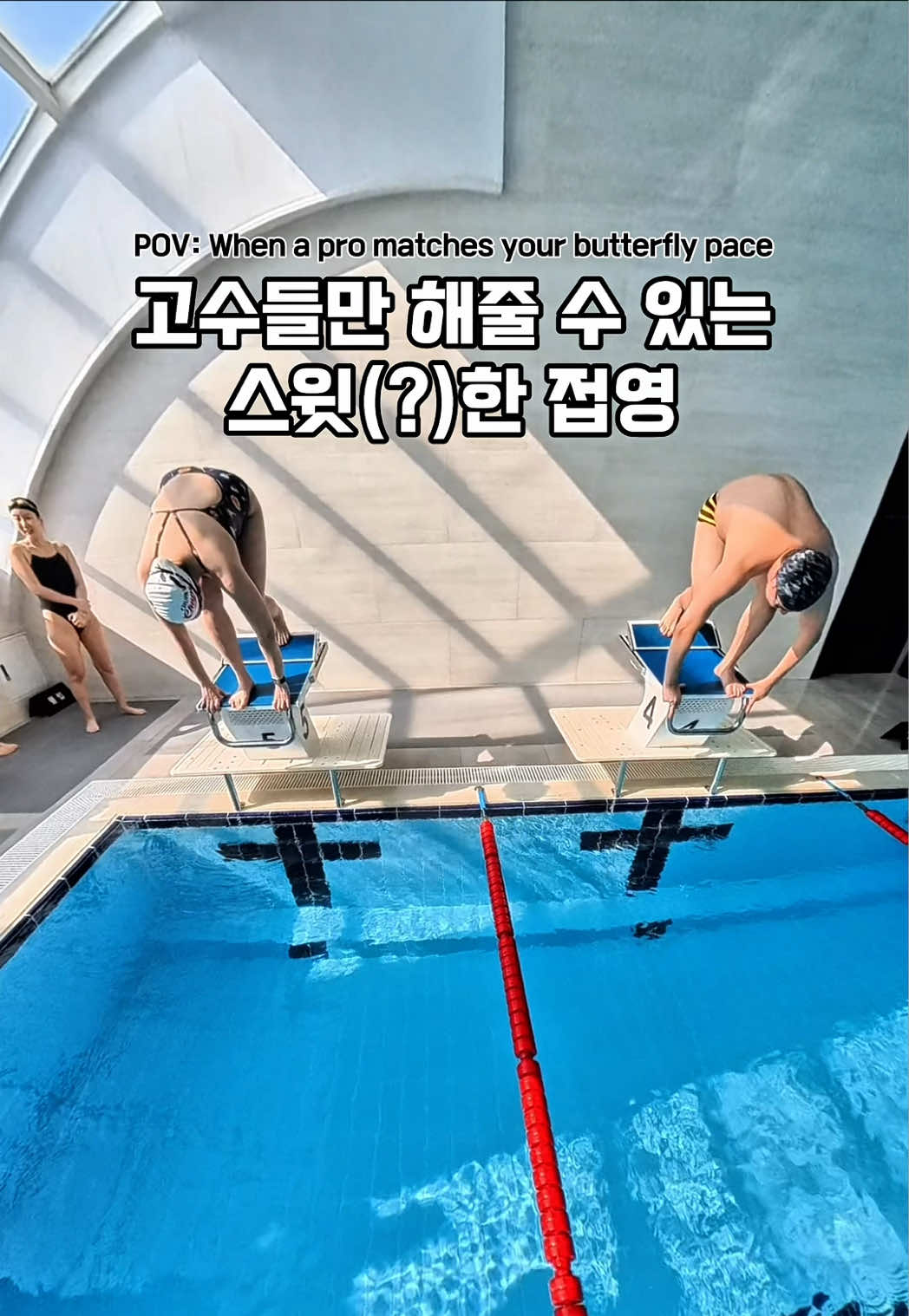 @스위머바니 swimmer banny