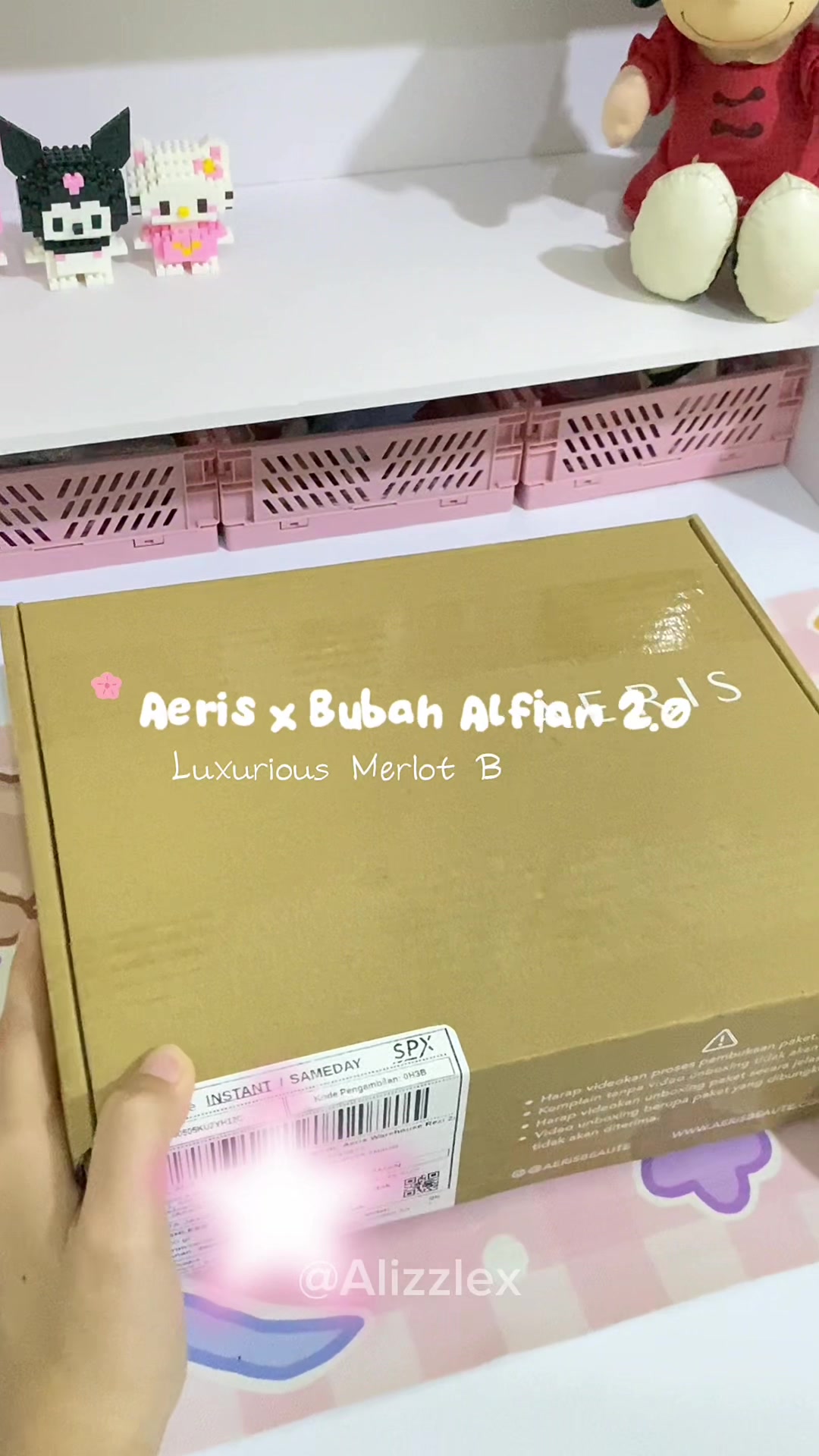 @Lizz 🎀✨