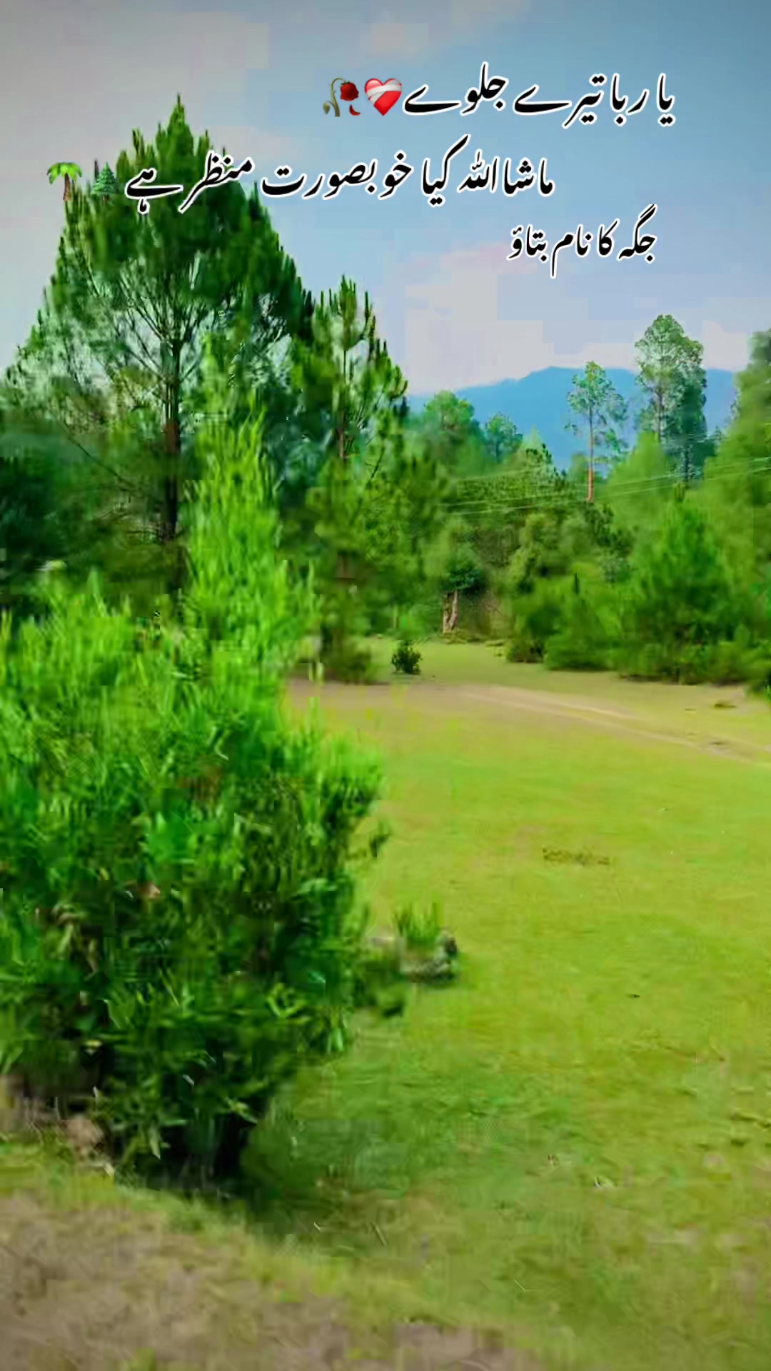 @مجتبیٰ ستی❤️&zwj;🩹(ملوٹ ستیاں)🥀