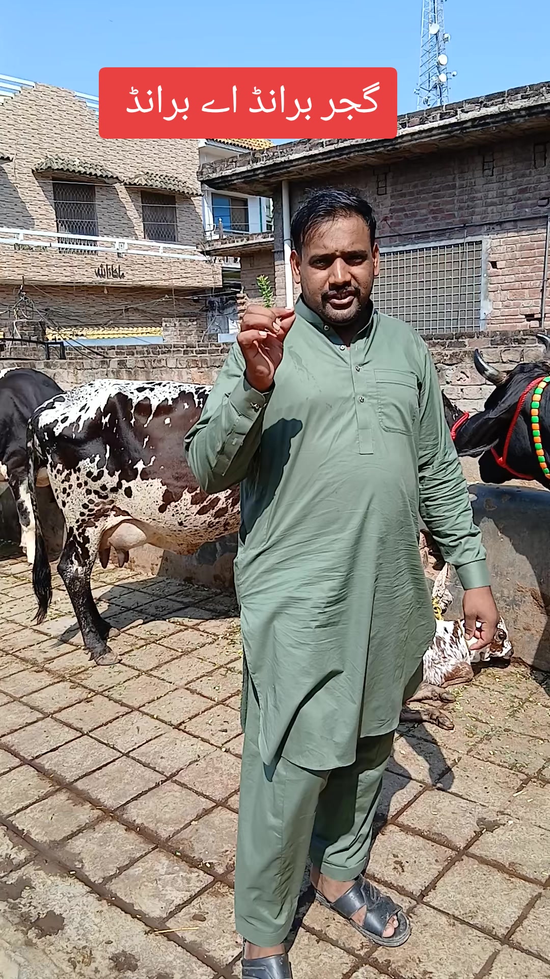 @Farming and Business Ideas