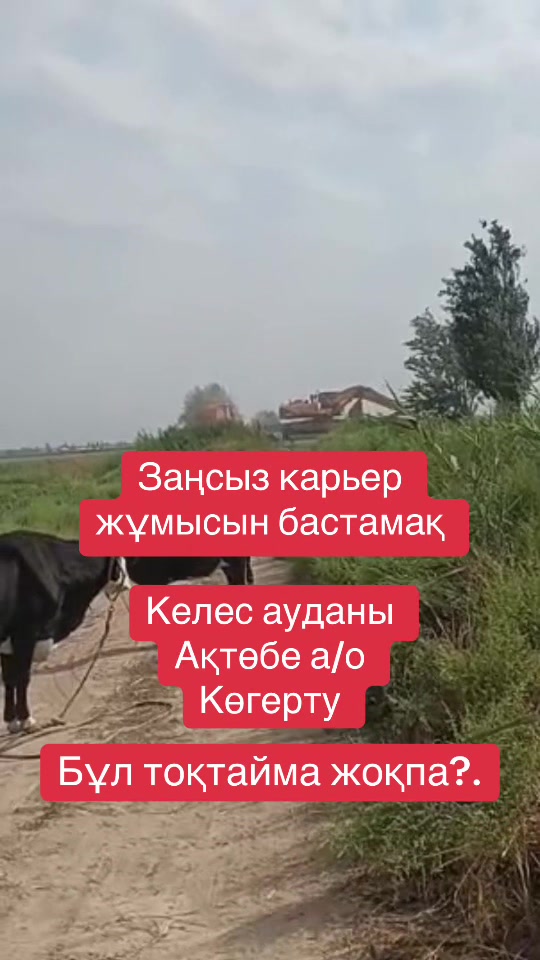 @Айбек