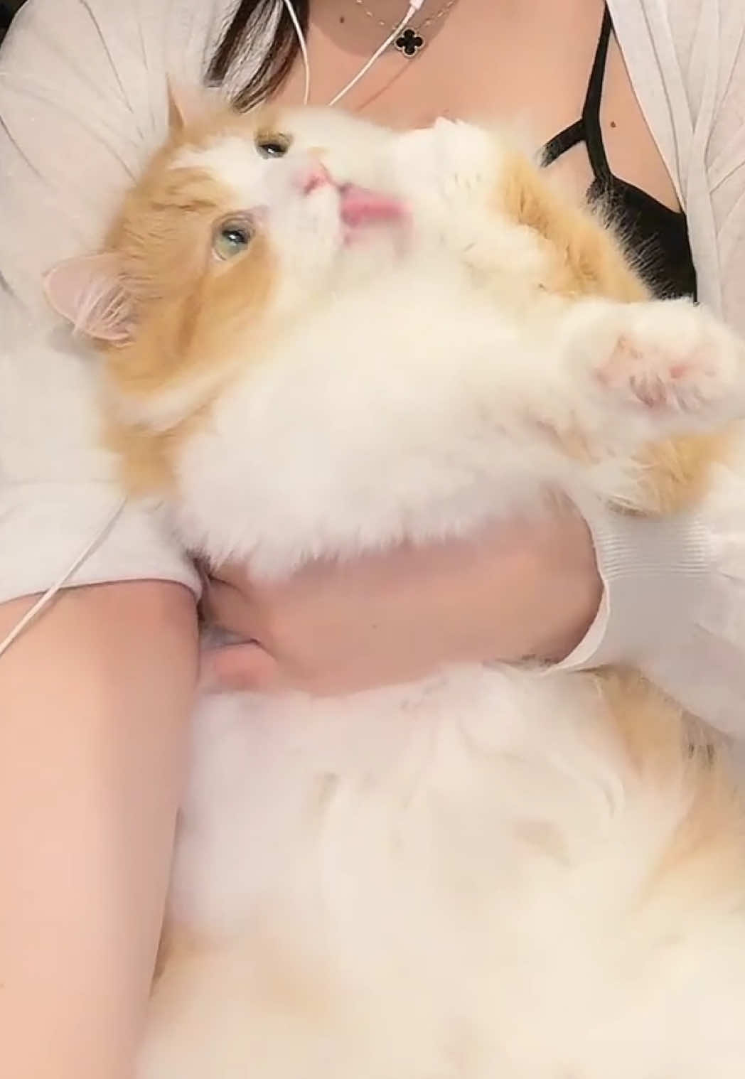@神楽あや🐱🍺