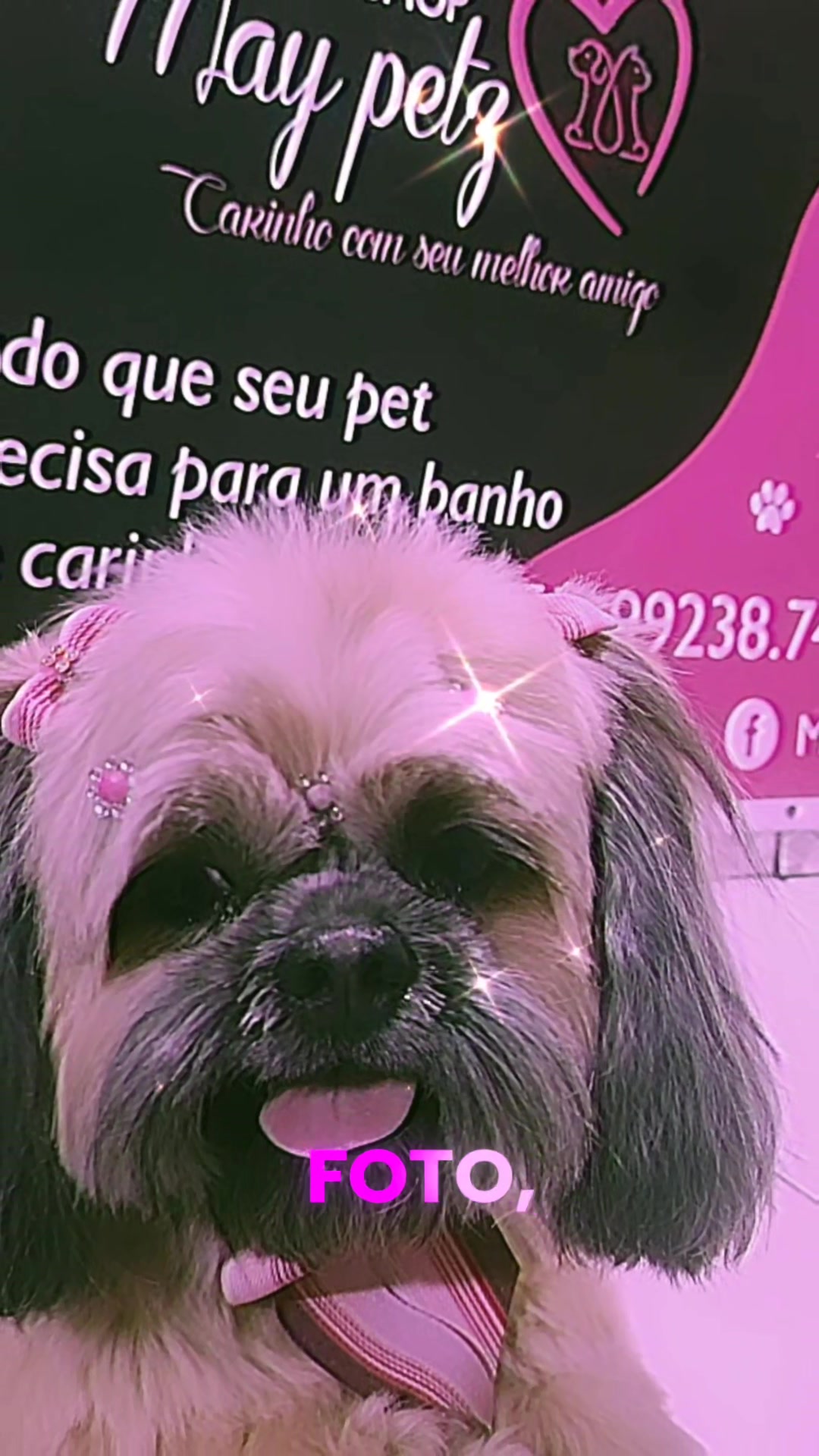 @MayPetz banho e tosa
