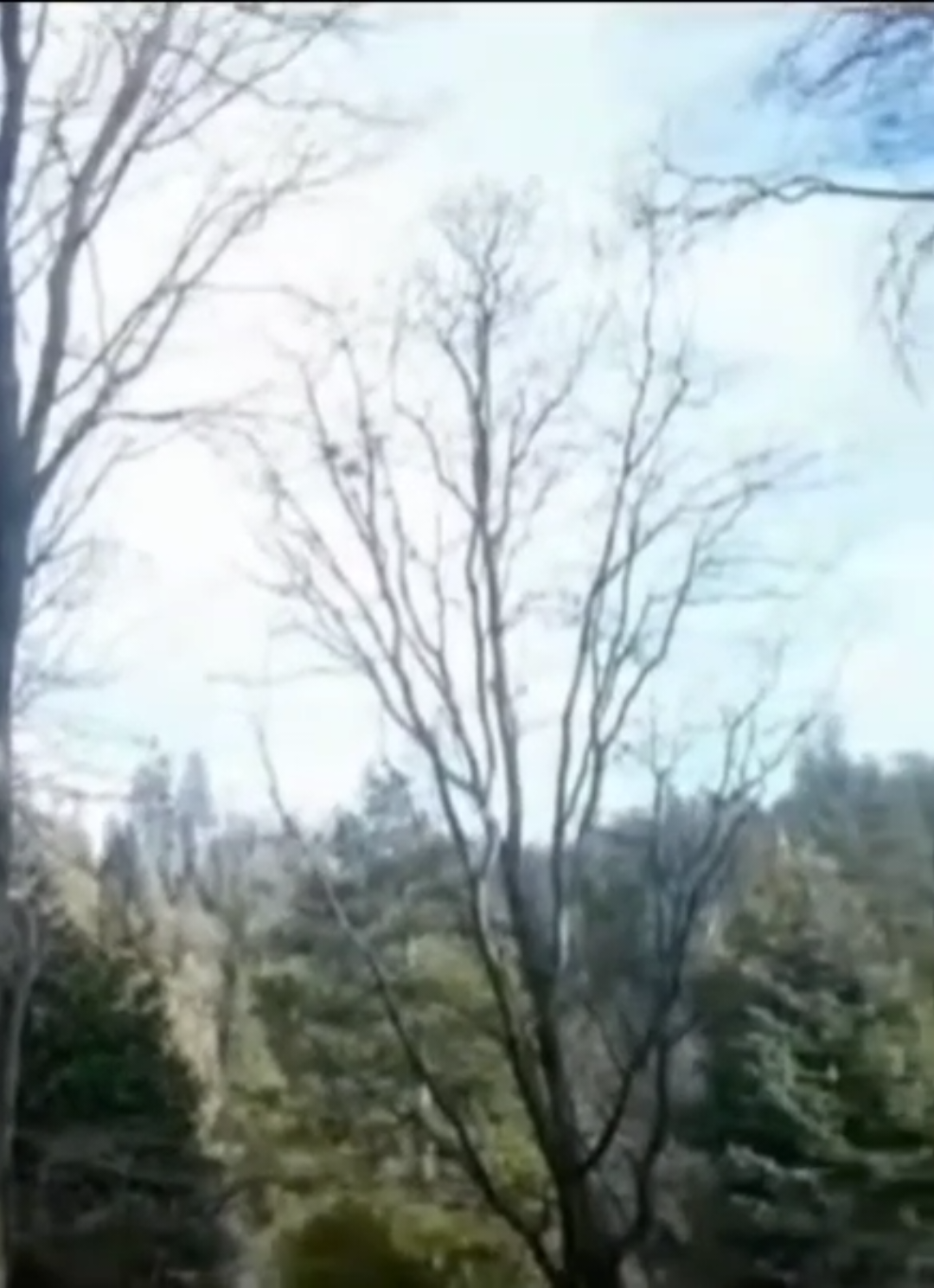 @ᴀᴍᴏʀᴀ