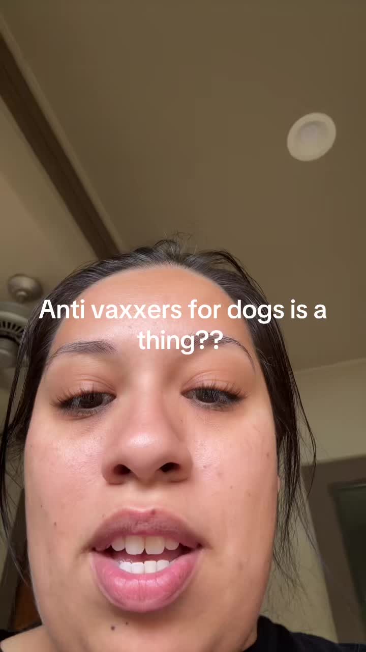 @AshBash