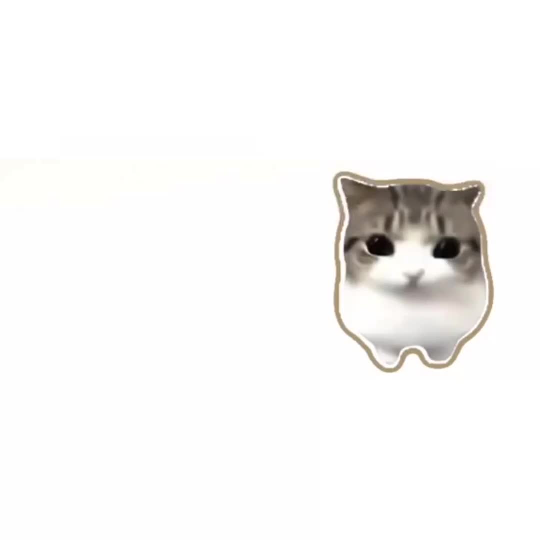 @L1_1ox (Лив лох) @