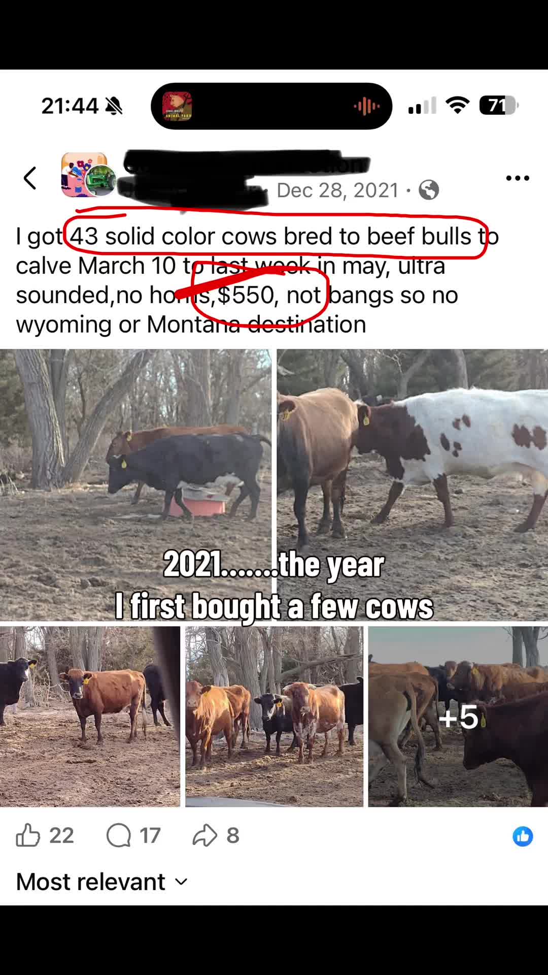 @Flat Rock Cattle Co