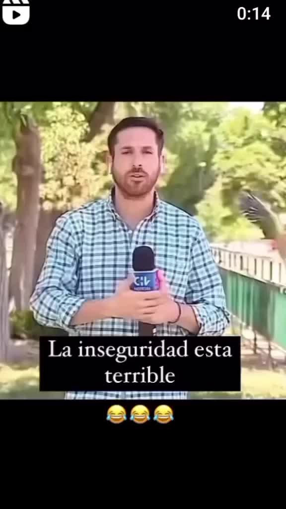 @Vargas oficial