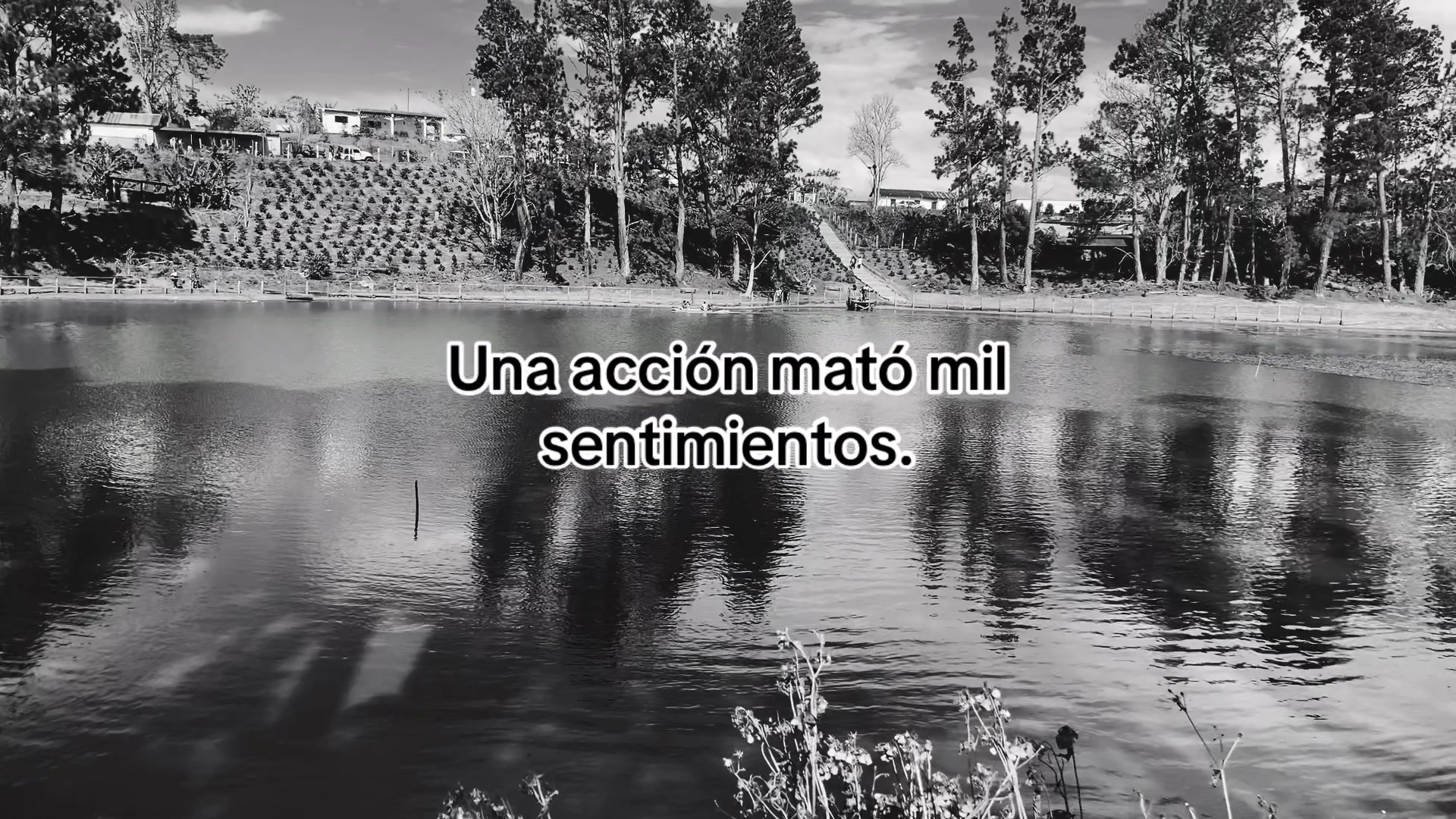 @D'avid_alx🪽